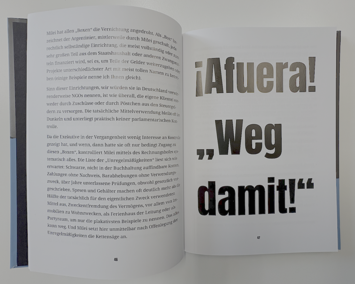 Stephan Ring - Die Rettung Argentiniens Innen