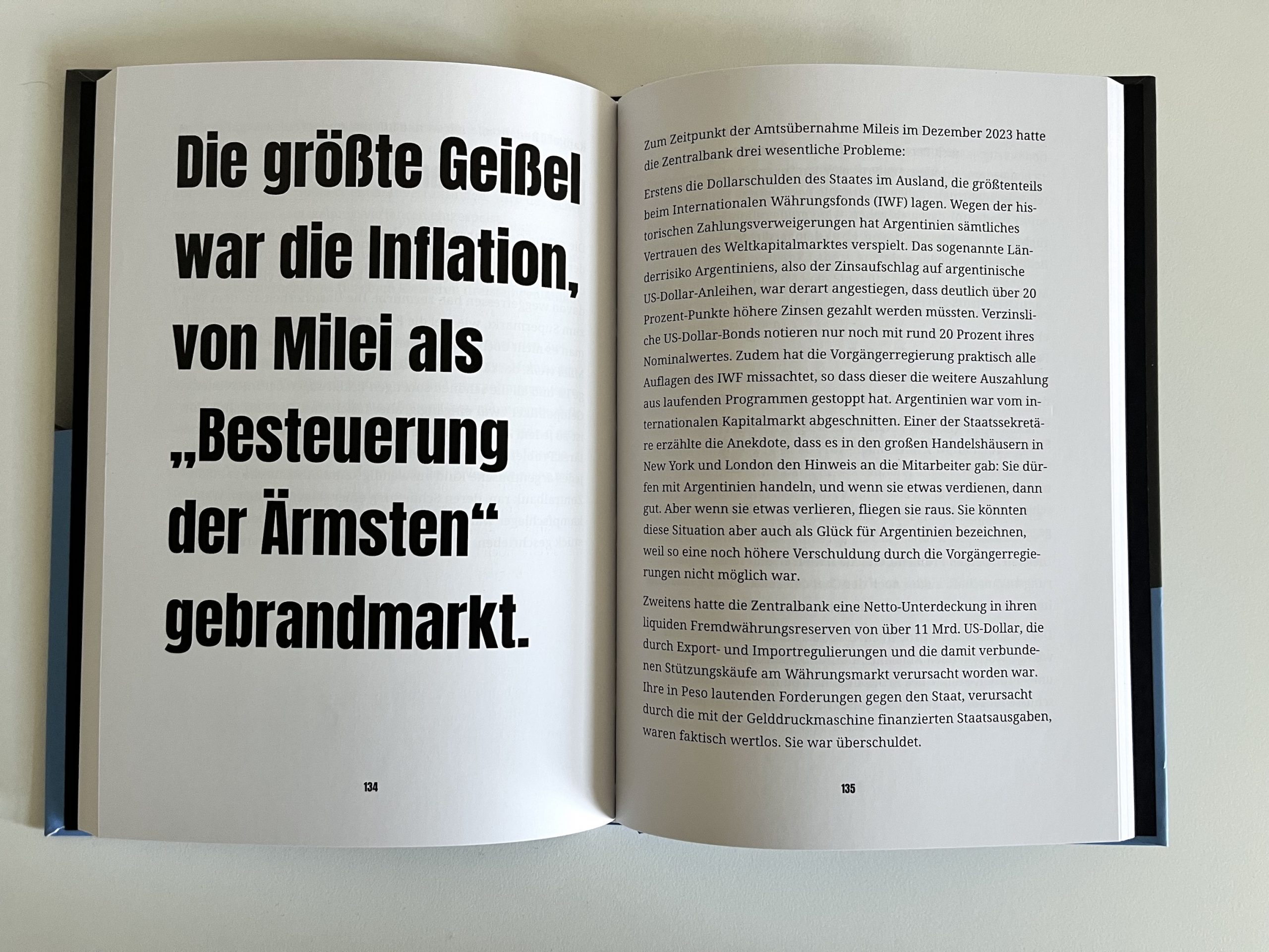 Stephan Ring - Die Rettung Argentiniens – Bild 4